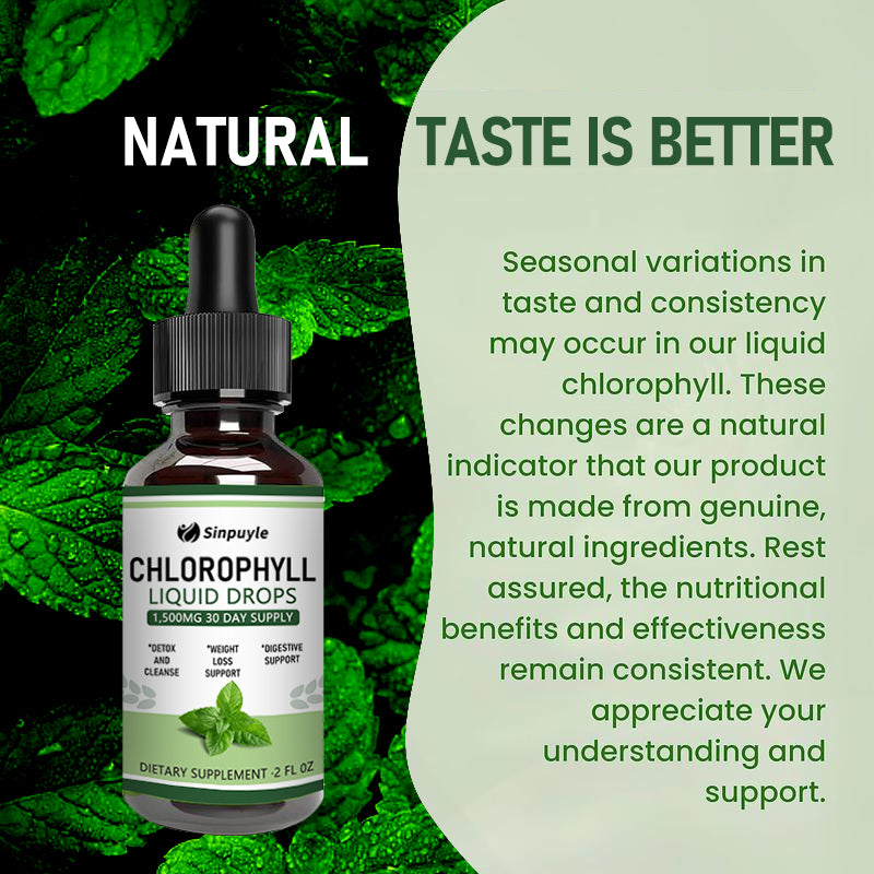Chlorophyll Liquid Drops For Clear Light Beige & Energy Boost - Immune Support Supplement - Liquid Chlorophyll For Gut Health
