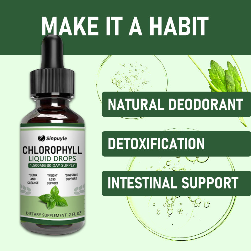 Chlorophyll Liquid Drops For Clear Light Beige & Energy Boost - Immune Support Supplement - Liquid Chlorophyll For Gut Health