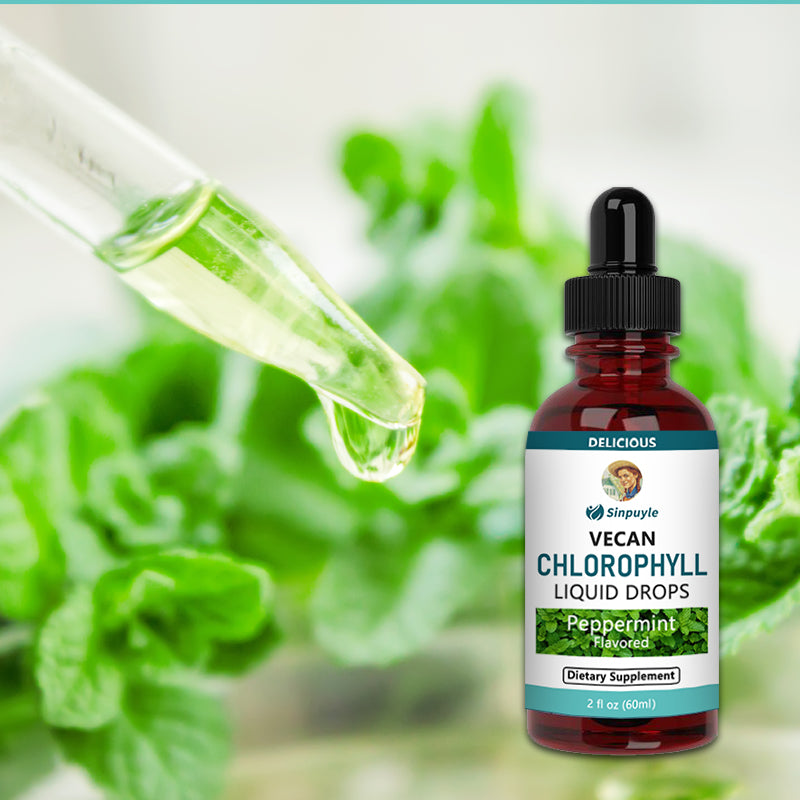 Chlorophyll Liquid Drops | Vegan | Non-Diluted Liquid Chlorophyll| Mulberry Derived Supplement for Ages 14+| Delicious Minty Flavor | 2 Fl Oz