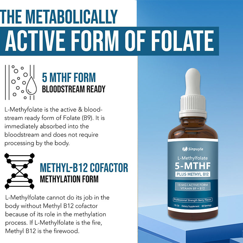 L Methyl Folate 15mg + B12 Cofactor, Berry Flavor, Professional Strength, Liquid Active 5-MTHF Form, Supports Mood, Methylation, & Cognition